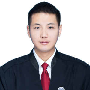 陶树金律师