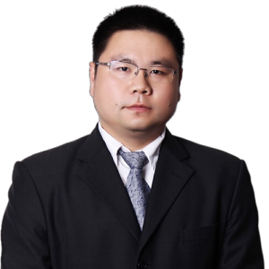 王振奋律师