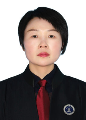 宋兴平律师