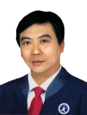 蔡放律师